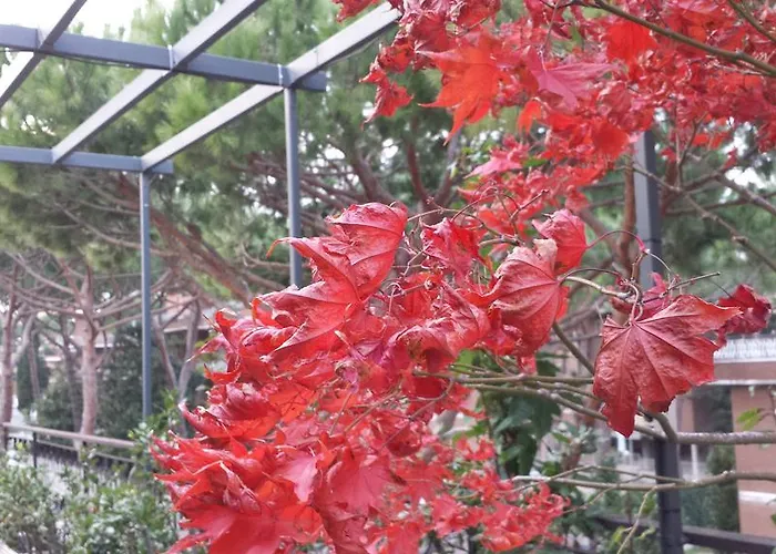 La Chicca Alojamento de Acomodação e Pequeno-almoço *